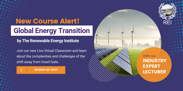 Renewable energy solar guide renew courses panel buyers since panels over au