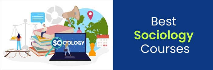 Sociology bachelor programs